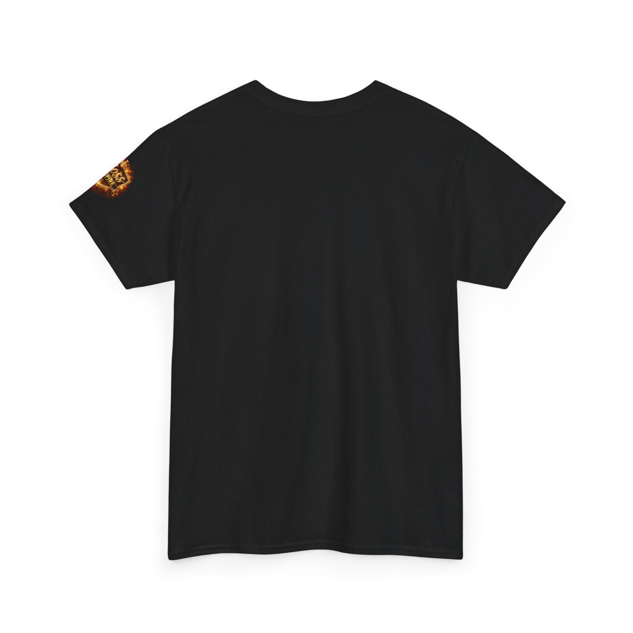 A Black Man With A Plan T-Shirt | Motivational Graphic Tee